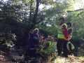 GoldehillP6_041