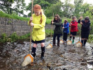 St Patricks sampling aquatic invertebrates