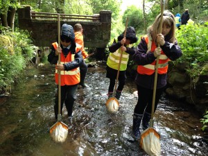 Invertebrate sampling